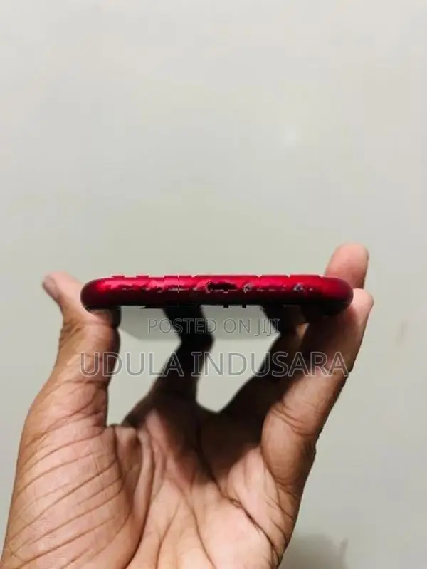 Apple iPhone 11 (Used)