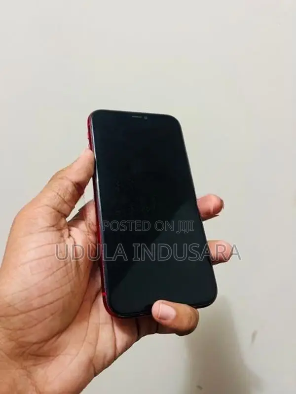 Apple iPhone 11 (Used)