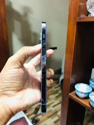 Apple iPhone 13 Pro Max 256GB (Used)