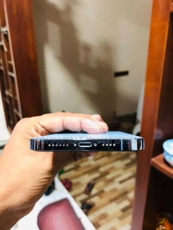 Apple iPhone 13 Pro Max 256GB (Used)