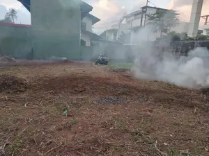 Land Sale Katuwawala Boralasgamuwa LS 824