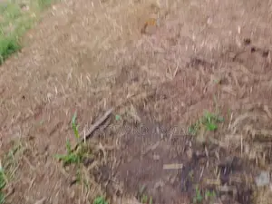 Land Sale Katuwawala Boralasgamuwa LS 824