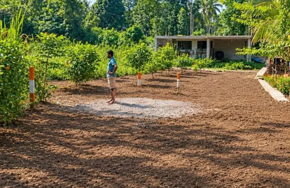 කඩුවෙලට නුදුරු පට්ටියාවත්තෙන් ඉඩමක්