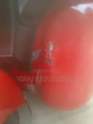 Bajaj 2015