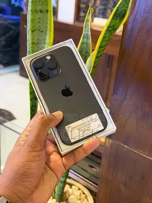 Apple iPhone 16 Pro 256GB (Used)
