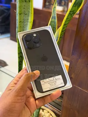 Apple iPhone 16 Pro 256GB (Used)