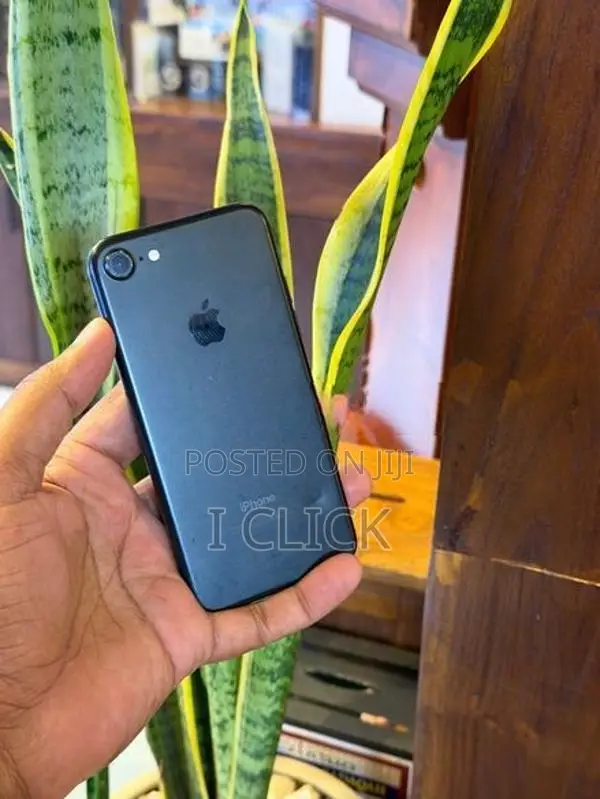 Apple iPhone 7 128GB (Used)