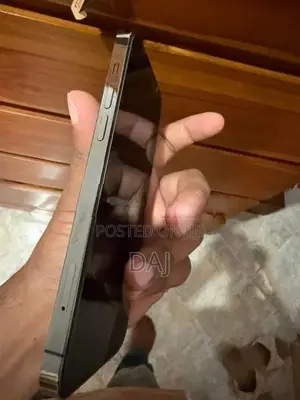 Apple iPhone 12 Pro (Used)