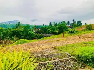 Land for Sale in Avissawella