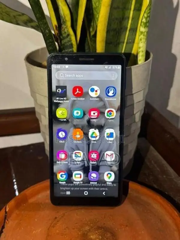 Samsung Galaxy M01 Core 4G (Used)