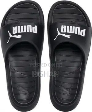 Puma Divecat V2