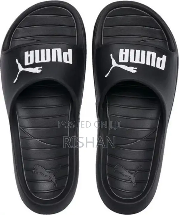 Puma Divecat V2