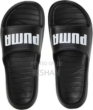 Puma Divecat V2