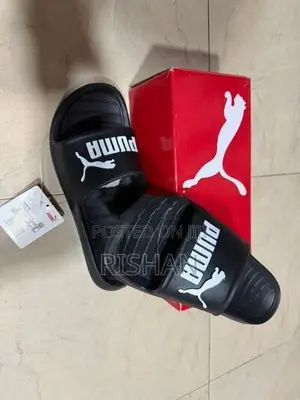 Puma Divecat V2