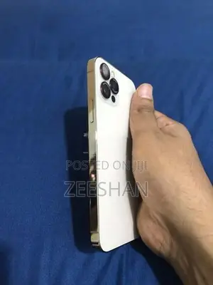 Apple iPhone 12 Pro (Used)