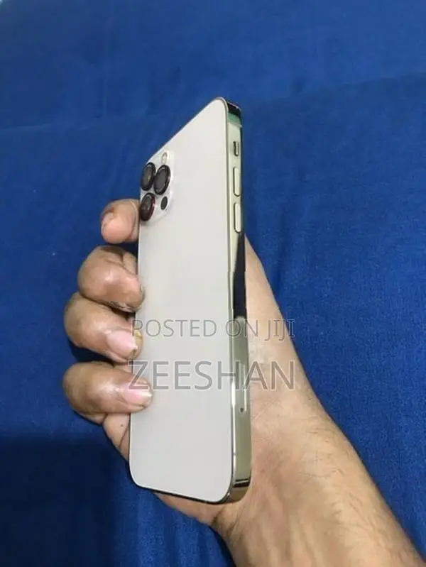 Apple iPhone 12 Pro (Used)