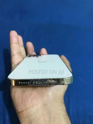 Apple iPhone 12 Pro (Used)