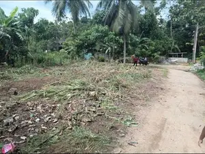 Homagama - Halbarawa 10.4 P Land For Sale