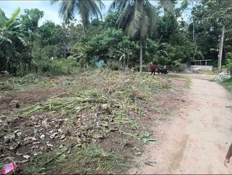 Homagama - Halbarawa 10.4 P Land For Sale
