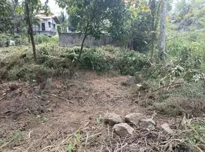 Homagama - Halbarawa 10.4 P Land For Sale
