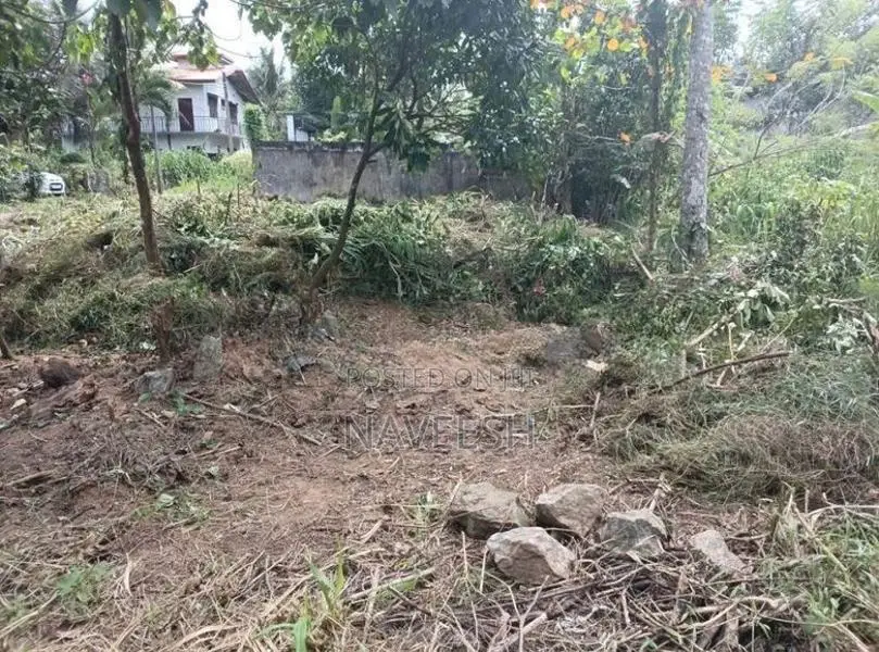 Homagama - Halbarawa 10.4 P Land For Sale