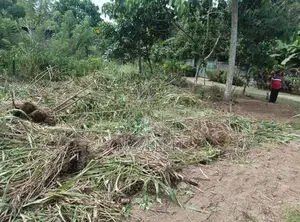 Homagama - Halbarawa 10.4 P Land For Sale