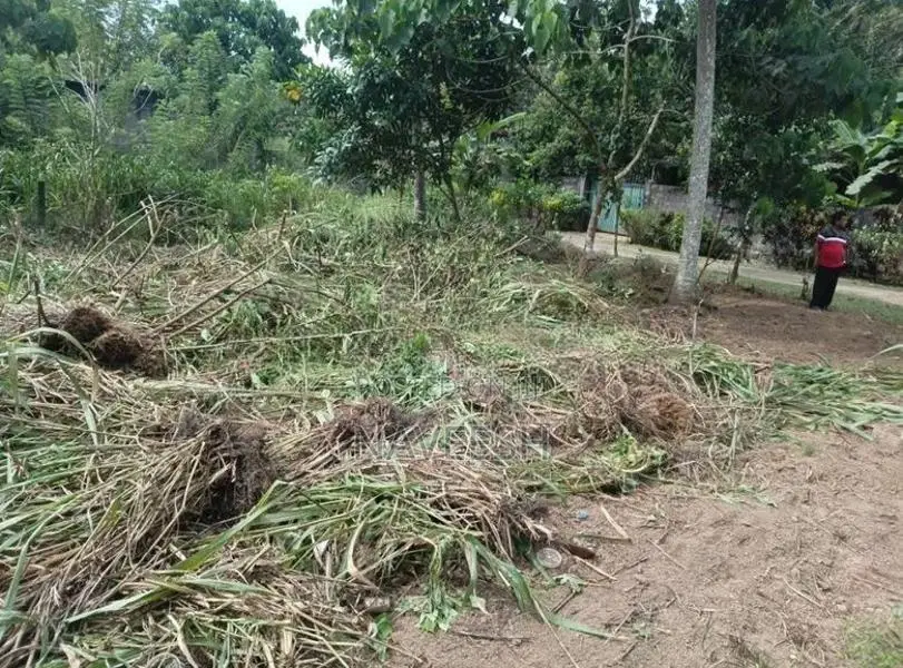 Homagama - Halbarawa 10.4 P Land For Sale