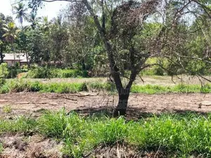 කොළඹ කුරුණෑගල ප්‍රධාන මාර්ගයට මුහුණලා 40p ඉඩමක් විකිණීමට In Kurunegala