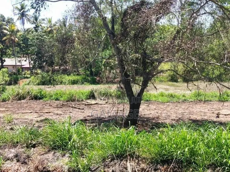 කොළඹ කුරුණෑගල ප්‍රධාන මාර්ගයට මුහුණලා 40p ඉඩමක් විකිණීමට In Kurunegala