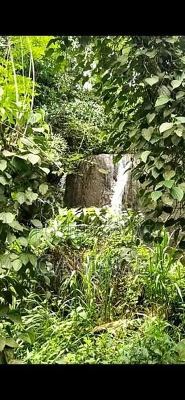 අක්කර 7 ක තේ ඉඩමක් කොළඹට ආසන්න සංචාරක ප්‍රදේශයකින්