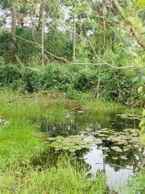 අක්කර 7 ක තේ ඉඩමක් කොළඹට ආසන්න සංචාරක ප්‍රදේශයකින්