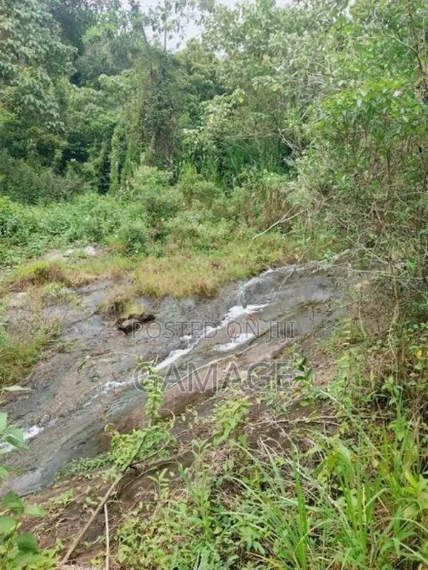 අක්කර 7 ක තේ ඉඩමක් කොළඹට ආසන්න සංචාරක ප්‍රදේශයකින්