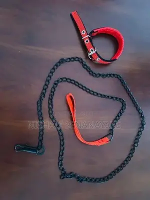 Dog Collar With Chain