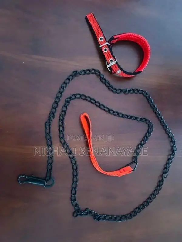 Dog Collar With Chain