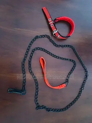 Dog Collar With Chain