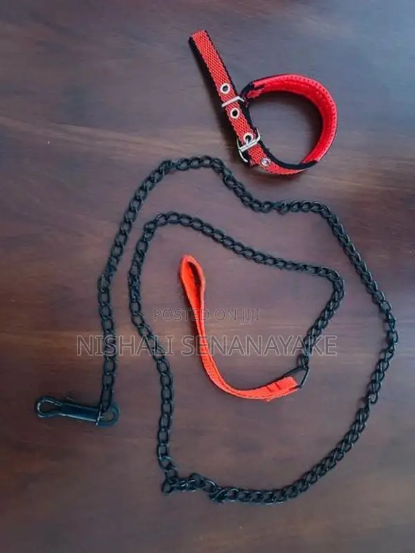 Dog Collar With Chain