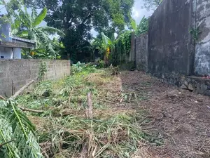 Moratuwa University Land Sale