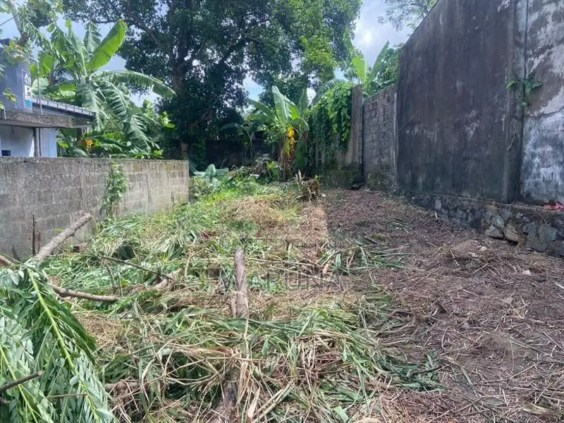 Moratuwa University Land Sale