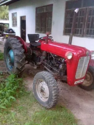 Massey-Ferguson IMT533 1979 Tractor (Used)