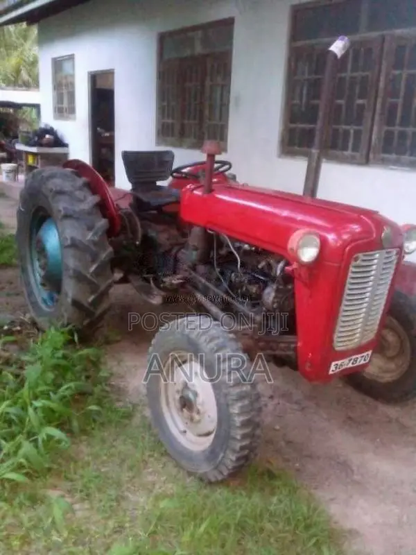 Massey-Ferguson IMT533 1979 Tractor (Used)