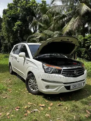 Micro Rodius 2017 Van (Used)