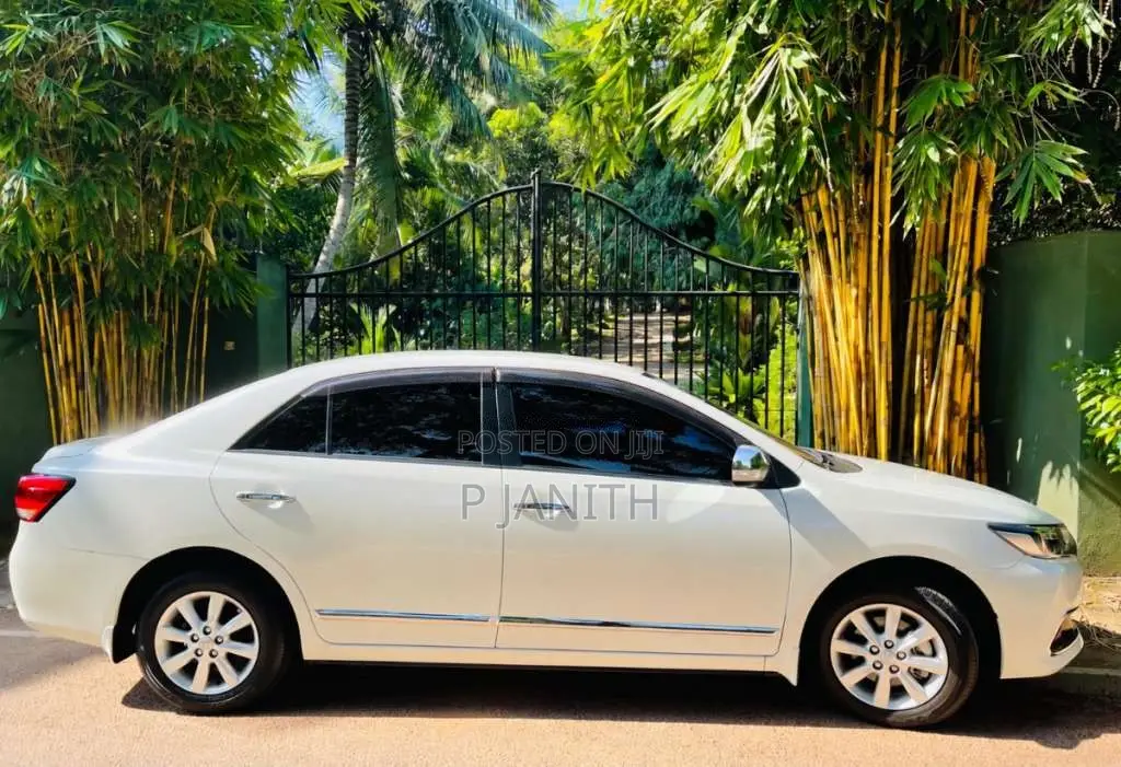 Toyota Premio 2019 Car (Used)