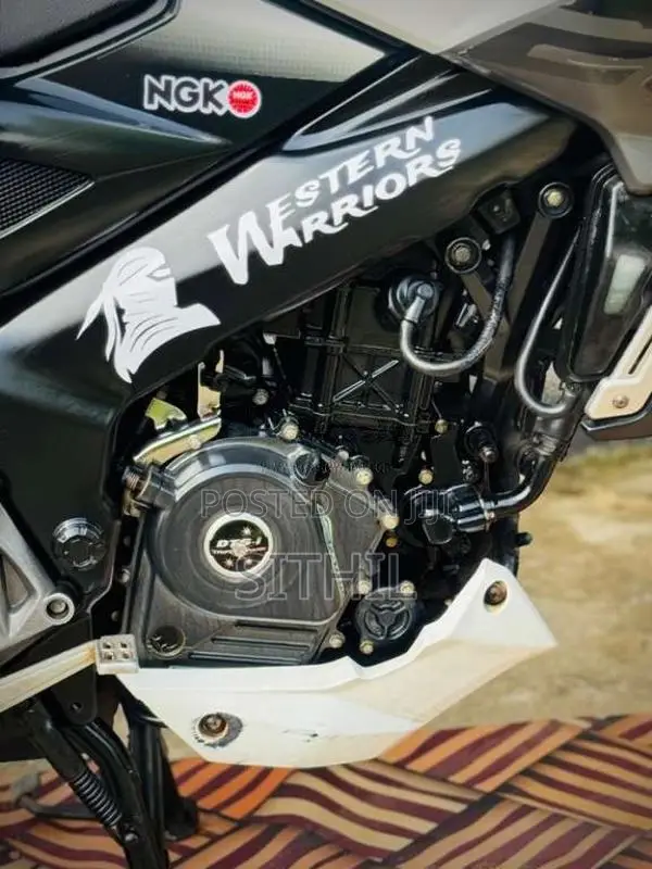 Bajaj Pulsar NS200 BIK 2019 Motorbike (Used)