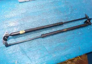 Wagon R Dicky Door Shock