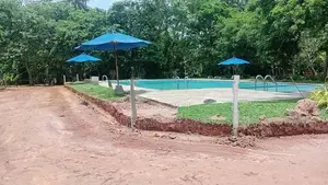 මිගමුව දිව්ලපිටිය බස් පාරට නුදුරින් අගනා බිම් කොටස් විකිණීමට