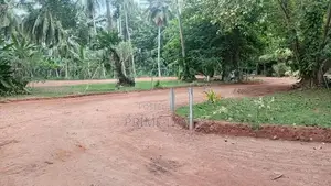 මිගමුව දිව්ලපිටිය බස් පාරට නුදුරින් අගනා බිම් කොටස් විකිණීමට