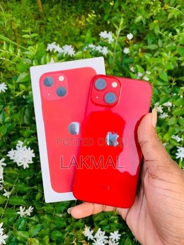 Apple iPhone 13 mini (Used)