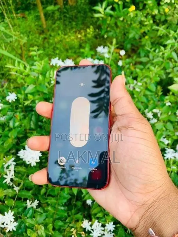 Apple iPhone 13 mini (Used)
