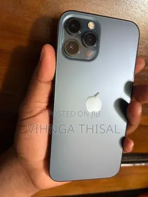Apple iPhone 12 Pro Max (Used)
