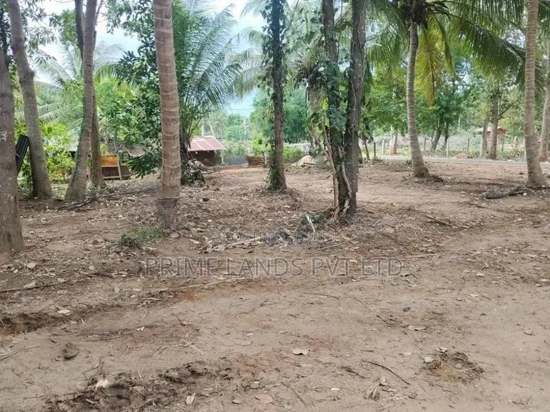 අනුරාධපුර නුවර වැව ආසන්නයෙන් ළගදීම සින්නක්කර බිම්කොටස්